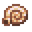 Nautilus Fossil